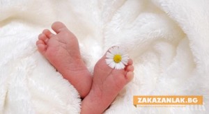 Коледно чудо в дома на двама братя