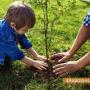 Горското раздава 1000 дръвчета на 3 април