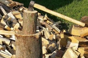 Крадат дърва от Бузлуджа 