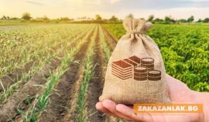 С 10-15% са се повишили цените на нивите в Старозагорско