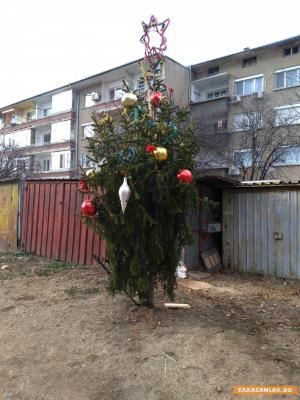 И Гошо Влакчето украси