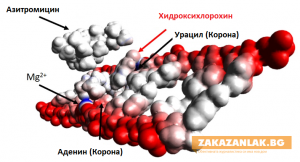 Учени с пробив в лечението на COVID-19