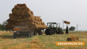 Агроминистерството приема заявления за подпомагане на млади фермери