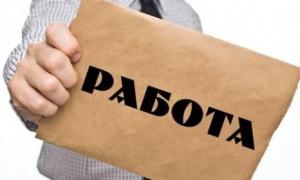 Възможност за студенти за лятна работа в Германия