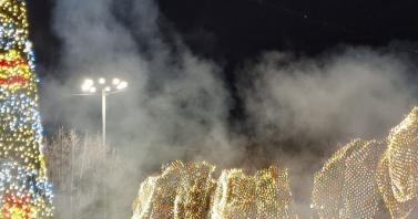 Коледната елха в Казанлък грейва на 8 декември
