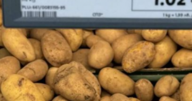 Всички стоки и услуги с цени в левове и евро