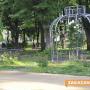 За още красота в парк "Розариум" 