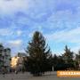 В Казанлък „палят“ коледната елха на 9 декември