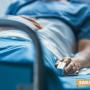 Предлагат пациентите да потвърждават с код за получените здравни услуги