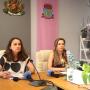 Щетите от градушката в Шипка са за над милион лева