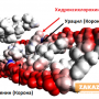 Учени с пробив в лечението на COVID-19
