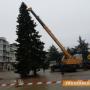 На 10 декември грейва Коледната елха