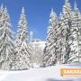 Ски пистите на Бузлуджа очакват любителите на зимните спортове