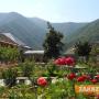 Казанлък се побратимява с град на рози  в Азербайджан 