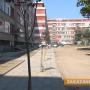 Облагородяване на междублокови пространства