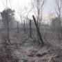 15 декара растителност и 2 постройки са изгорели край Ягода